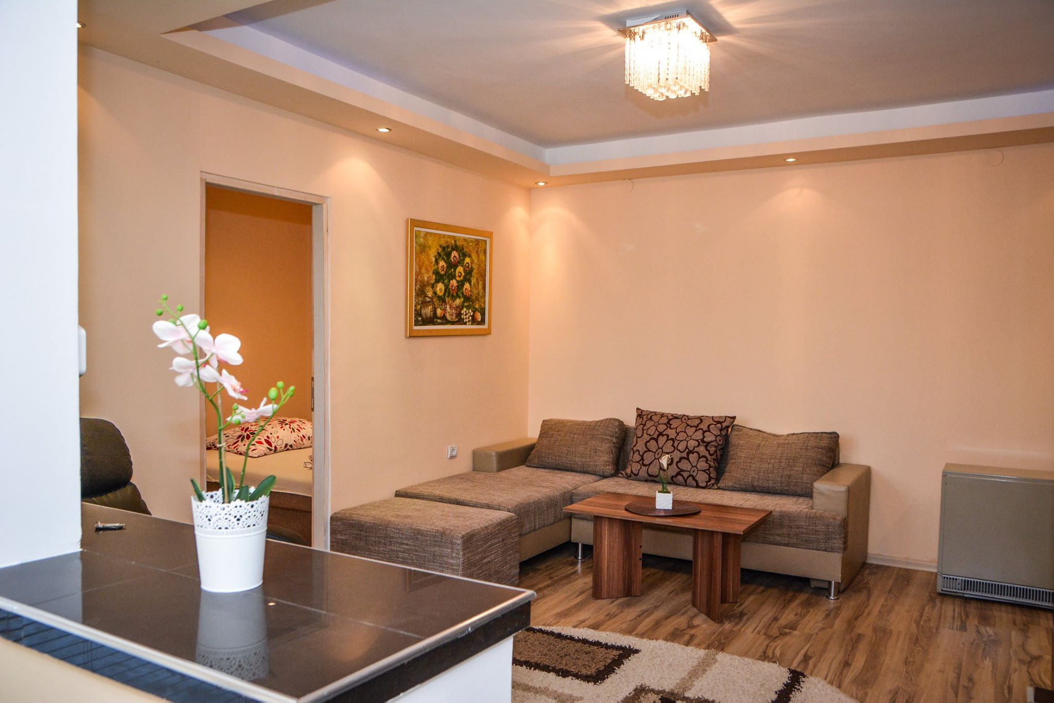 Apartament Ruza